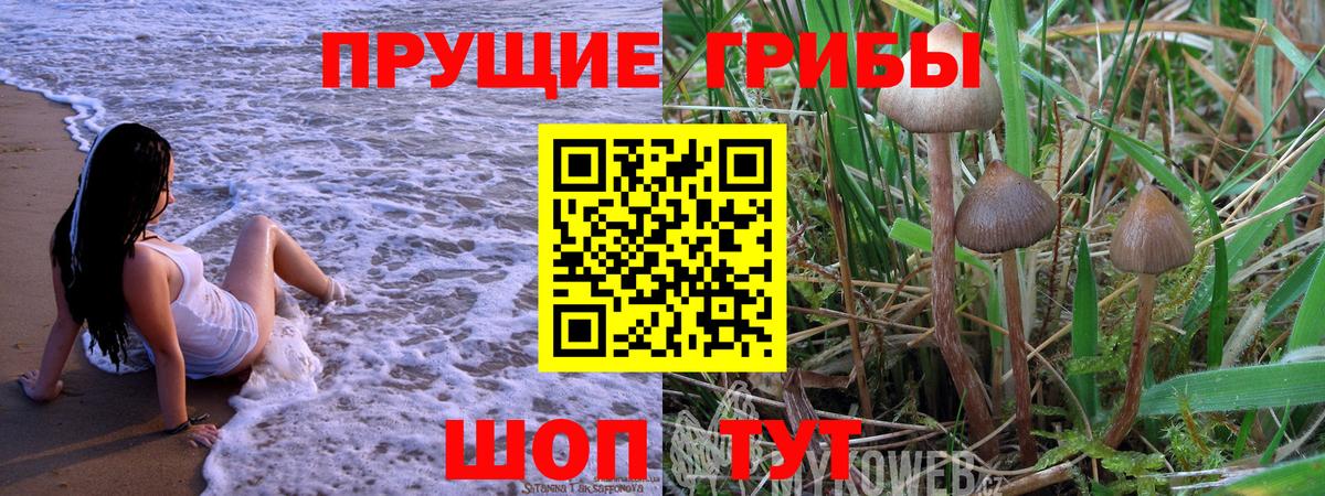 Галлюциногенные грибы ЛСД Тайшет