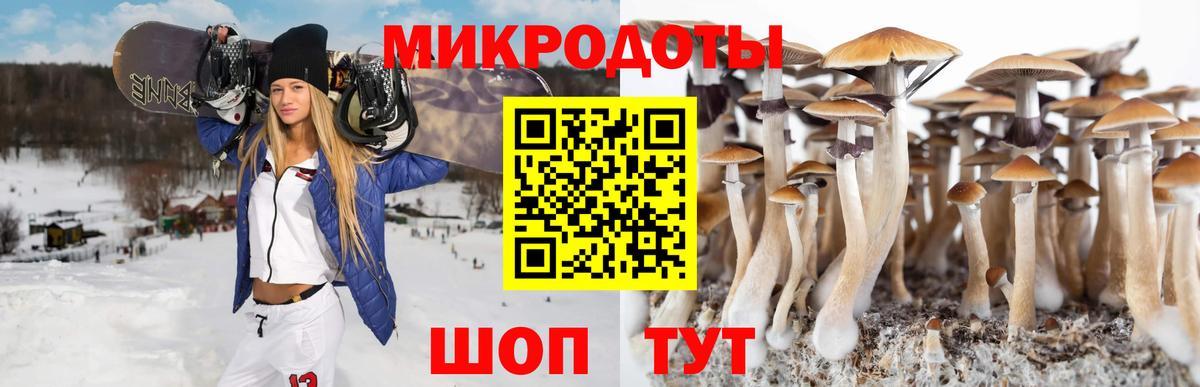 Псилоцибиновые грибы Magic Shrooms  Вход с VPN  Тайшет  Галлюциногенные грибы мухоморы 