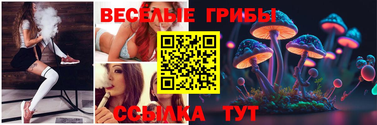 APVP Тайшет